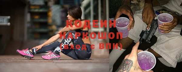 хмурый Алзамай