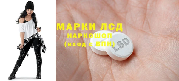 хмурый Алзамай