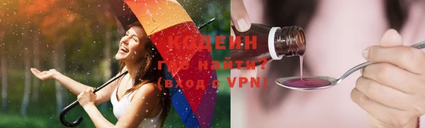 хмурый Алзамай