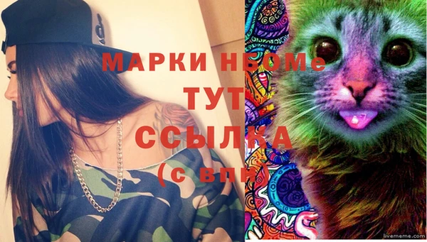 молекула духа Алексеевка