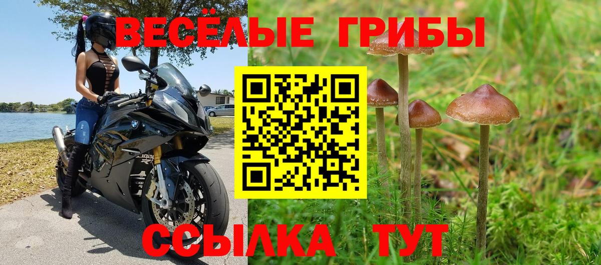 Лысьва  Псилоцибиновые грибы ЛСД  Вход с VPN 